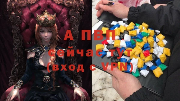 ECSTASY Арсеньев
