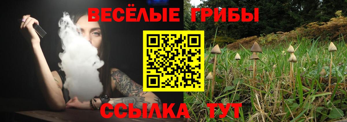 Псилоцибиновые грибы прущие грибы Радужный
